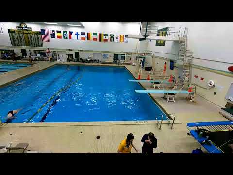 Northern Michigan University Diving VS. University Of Wisconsin - Stevens Point