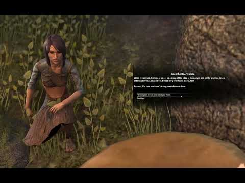 The Silvenar's Wedding! - Malabal Tor 6 - Aldmeri Dominion - Elder Scrolls Online Overland Quests