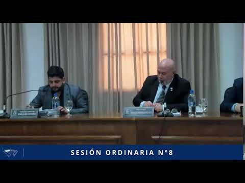 SESIÓN ORDINARIA N° 08