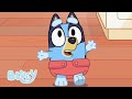 Die Besten Folgen Von Staffel 1 Und 2 Ganze Folgen Bluey Deutsch Offizieller Kanal