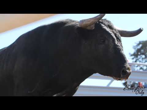 Bullfighters Only Salinas 2018