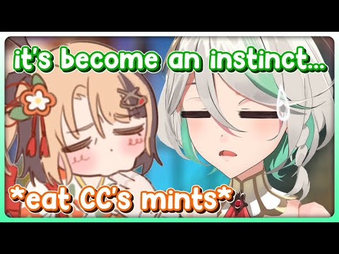 Cecilia Is Getting Used to Gigi Eating From Her Hand Like a Horse at This Point