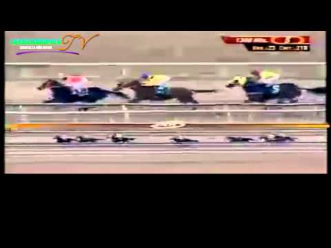 LA RINCONADA 5 CARRERA SABADO 29 DE MARZO DEL 2014