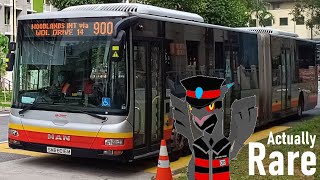 Comprehensive Guide on how to find Bendy Buses in Singapore, 2025年 cos other videos aren't detailed