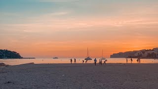 sentido fido punta del mar