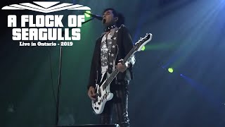 A Flock Of Seagulls - Transfer Affection - Live in Ontario 2019 Video HD