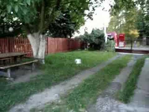 OSP Łopuszno    (akcja szerszeń)