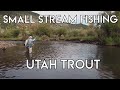 Small Stream Tips & Techniques | Utah Trout