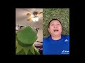 Kermit On Tiktok Compilation