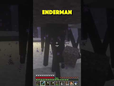 Insane!!! Almost Lost Hardcore World to Enderman in Minecraft!! 😱