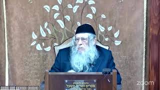 הרה"ג הרב וועכטר שליט"א ב' טבת תשפ"ה - זאת חנוכה (הרב אברהם מנחם מענדל וכטר) - התמונה מוצגת ישירות מתוך אתר האינטרנט יוטיוב. זכויות היוצרים בתמונה שייכות ליוצרה. קישור קרדיט למקור התוכן נמצא בתוך דף הסרטון