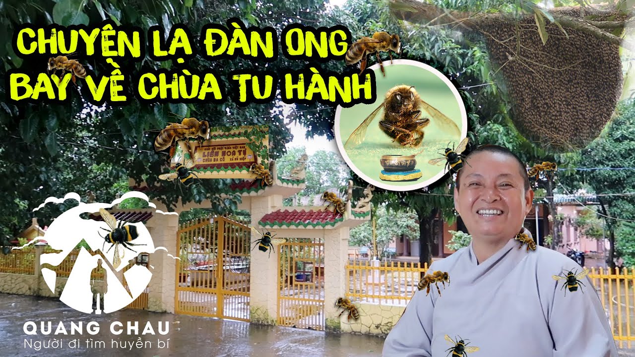 Ly kỳ chùa Ba Cô có Đàn Ong bay về Tu Hành và nghe được tiếng người khi Sư Cô trò chuyện