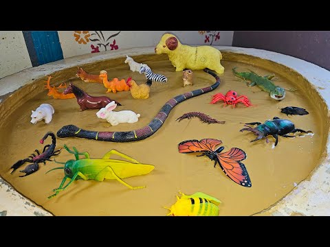 Critter Clash: The Epic Farm Animals vs. Insects Expedition for Kids