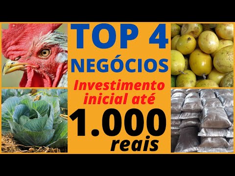 , title : 'TOP 4 NEGÓCIOS para CHÁCARA ou QUINTAL por MENOS de R$ 1.000,00. Retorno em 3 meses.'