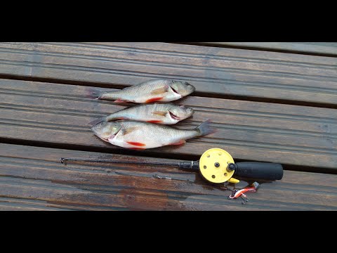 Laituri pilkillä ( ISOJA AHVENIA )