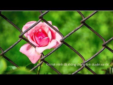 Thể hiện bởi Lê Hiếu