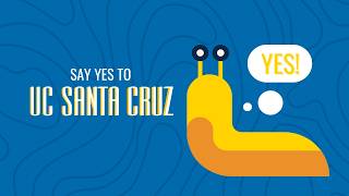 Say YES to UCSC for fall 2026!