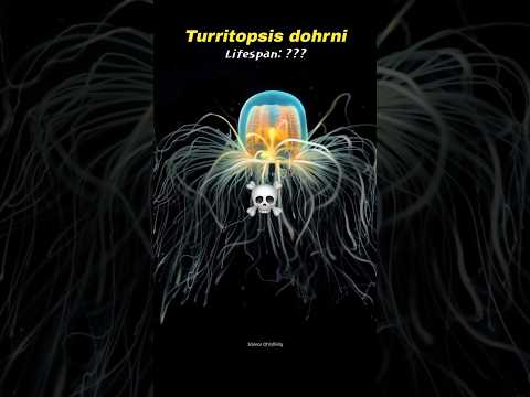 Is Immortality Possible on Earth? 🧬💀 #shorts #earth #immortal #space