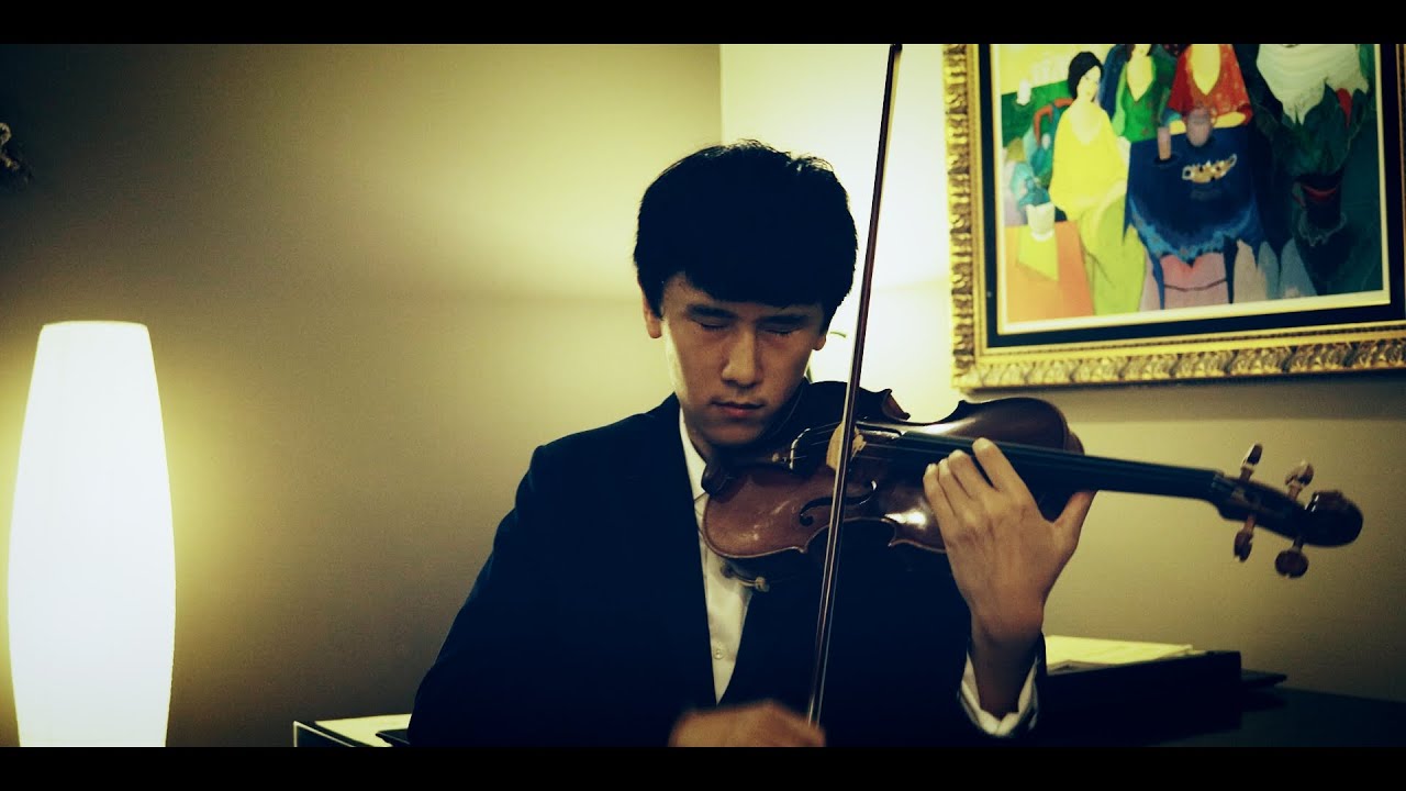Promotional video thumbnail 4 for Dxviolin