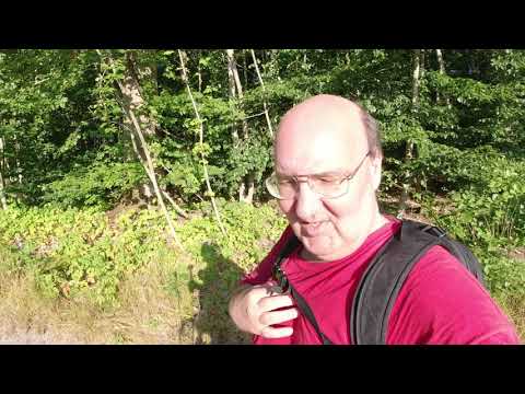 MongoTV_5181 - SKOVTUR Frederiksdal Mandag 17.August 2020