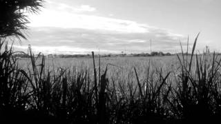 Supreme NTM  Soul soul remix (1992)