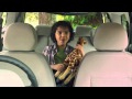 The All New Chevrolet Spin SPIN FAMILY GOES TO THE ZOO