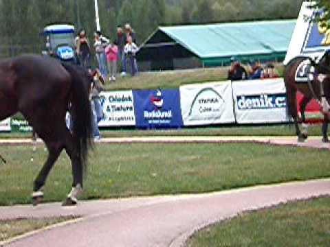 12.9.09 dostihy Pardubice