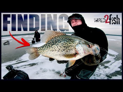 Ice Fishing Crappies: How We Find and Setup on Prime Spots Fast