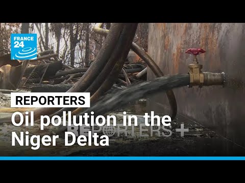 Seeds of hope: Saving mangroves in the Niger Delta