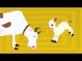 Thotathil Meyudhu Cow Song Chellame Chellam Tamil Rhymes