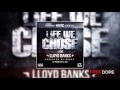 Havoc Ft Lloyd Banks - Life We Chose 