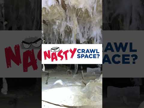 NASTY Crawl Space? We Can Fix It!