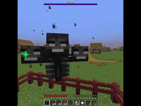 Cursed Wither Villager in Minecraft
