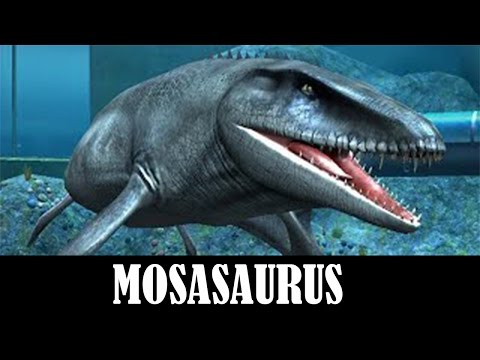 MOSASAURUS LEVEL 40 - Jurassic World The Game
