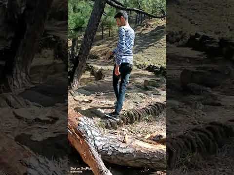 Forest View 😍❣️ | Natural Sound | A Boy From Hill | Like Comment Share Subscribe For More