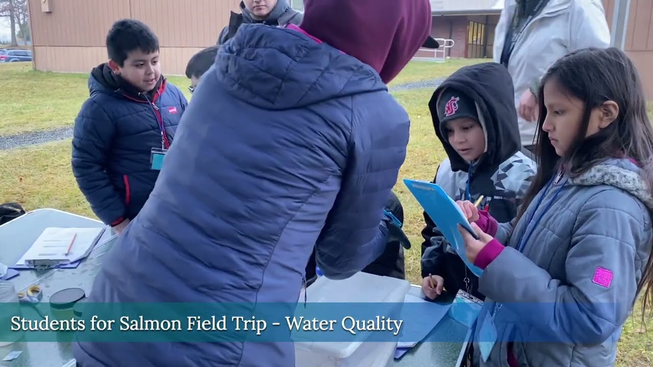 Being an NSEA Intern