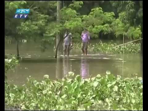 সাম্প্রতিক বন্যায় আউশ ধান ও বিজতলার ব্যাপক ক্ষতি