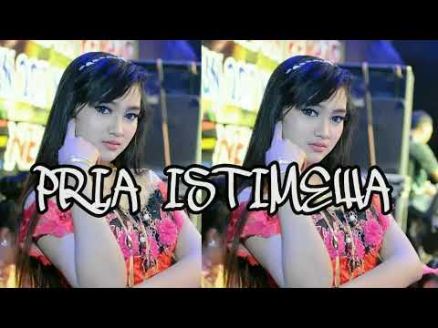 Jihan audy - pria istimewa (lirik) NEW PALLAPA