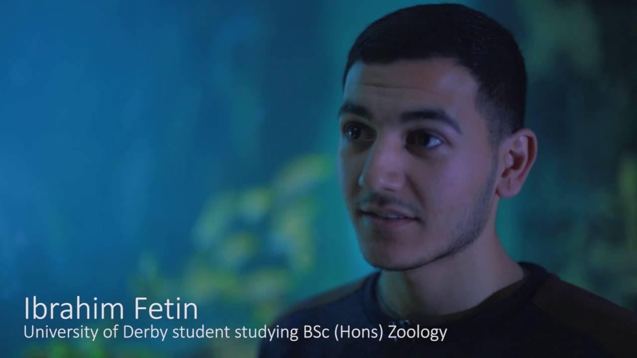 A new partnership between the University of Derby and the National Sea Life Centre. James Robson, Curator at the Sea Life Centre illustrates why such a partnership is important for both institutes