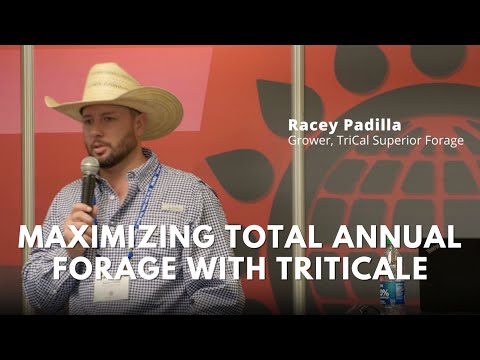 Maximizing Total Annual Forage with Triticale | Racey at WDE 2023
