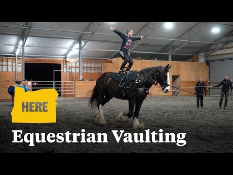 Learn equestrian vaulting from Forward Stride
