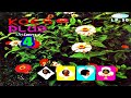04 Koes Plus Vol 4 1972 FULL Download Video Link