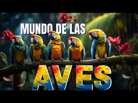 Mundo De Las Aves Explicadas Para Niños | Videos Educativos Para Niños