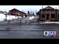 More Harm Than Good Why You Shouldn T Feed Backyard Deer