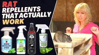 Best Rat Repellent Spray (How to Get Rid of Rats in House Fast) - Top Repellents