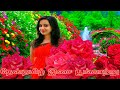 ஒரு தேவதை வந்துவிட்டால் உன்னை தேடியே