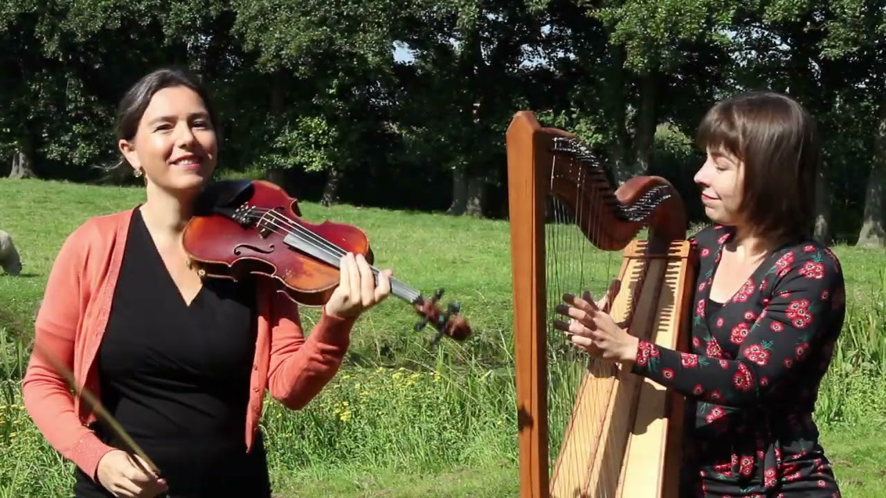 youtube video background youtube video background