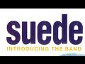 Suede: Introducing The Band 1995