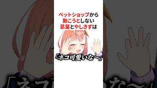 ペットショップから動こうとしない葛葉とやしきず　VTuber#にじさんじ#雑学#豆知識