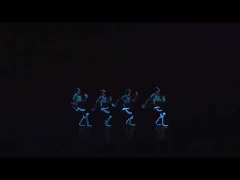 THE LEDS GROUP  TEAM